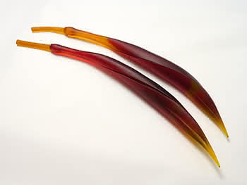 Twisted Flax Pods