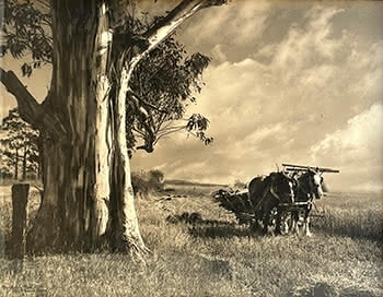 The Resting Team - South Otago