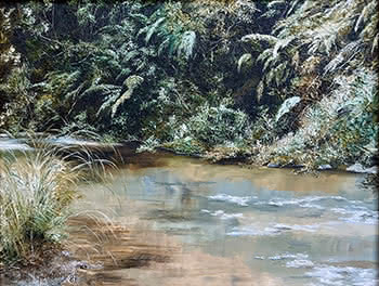 Waiau River, Coromandel