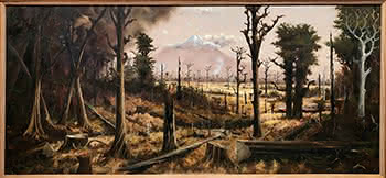 Bush Clearing, Mount Egmont (Taranaki)