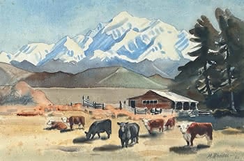 Rural Scene wirh Cattle