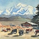 Rural Scene wirh Cattle