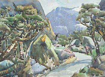 South Island Landscape