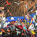 Menagerie of African Birds