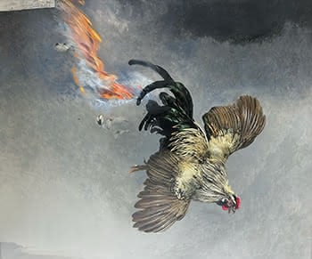 A Terrible Event over the Mallee - (The Rooster that thought it was a Magpie). From The Birds of Black Thursday Part 3