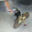 A Terrible Event over the Mallee - (The Rooster that thought it was a Magpie). From The Birds of Black Thursday Part 3