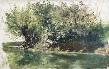 Bush and River Scene