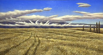 Brandy Hills