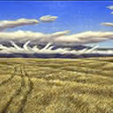 Brandy Hills