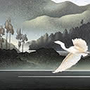 South Westland - White Heron (Kotuku)