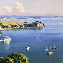 Auckland Harbour from Matiatia, Waiheke island