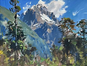 Mt Tuhawaiki, Lower Hollyford, Westland
