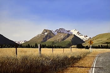Summer Heat - Evening Near Glenorchy, Otago