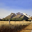 Summer Heat - Evening Near Glenorchy, Otago