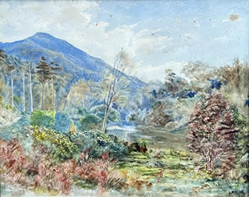 Happy Valley, Buller Province
