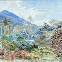 Happy Valley, Buller Province