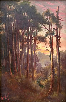 Sunset Through the Trees