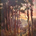 Sunset Through the Trees