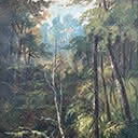 Native Bush