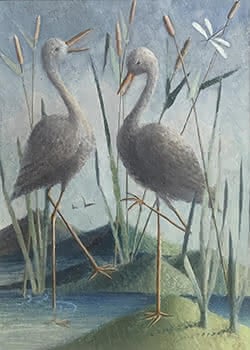 Birds and Dragon Fly
