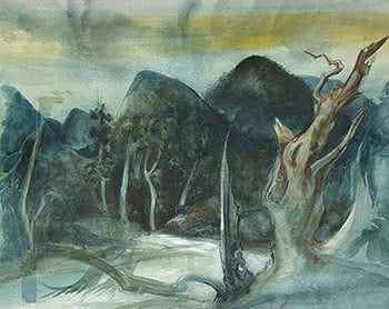 Burnt Forest