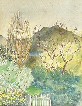 Coromandel Garden