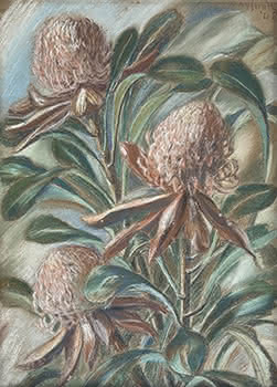 Waratah