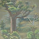 Bush Scene