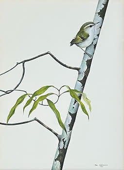 Bird on branch 1988
